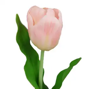 Bunga Tulip Putih 27 "H, Sutra Tulip Belanda Putih, Sentuhan Asli Tulip Sutra Buatan