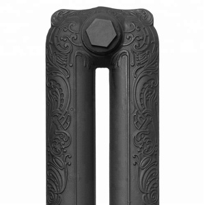 Radiador de hierro fundido alto Ascot 2 columna 768mm - Product Image 5