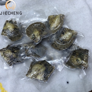 ไข่มุกน้ำเค็มเลี้ยงสีขาวขนาด 6-8 มม. ขายส่ง - Product Image 3