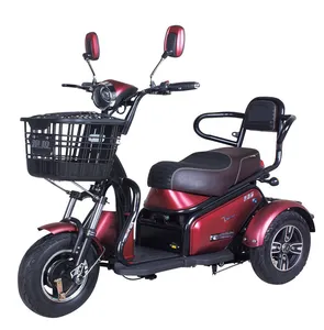 Beste Prijs Scooter Drie Wiel Fiets Met 2 Seat Hot Selling 3 Wiel Elektrische Scooter