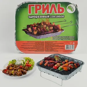 Low Price Outdoor Garden Picnic Camping Smokeless Foil Pan Charcoal Instant Disposable Barbecue Grill 2-3 people Mini BBQ Grill