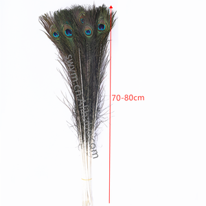 Terbaik Harga Bulu Ekor Burung Merak 10-12in Bulu Merak - Product Image 2