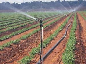 رشاش مياه لحقول فول الصويا/مسدس مطر ألومنيوم <span class=keywords><strong>2</strong></span> بوصة مع قلب نحاسي صيني - Product Image 5