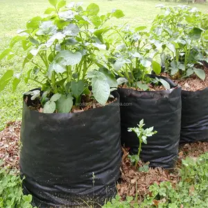 水培塑料袋植物苗圃袋种植蔬菜袋