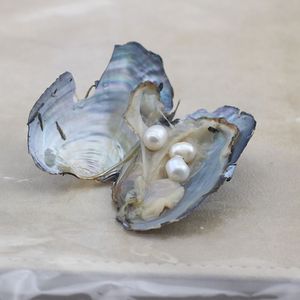 Ostriche Akoya con Perle d'Acqua Dolce Rotonde - Product Image 6