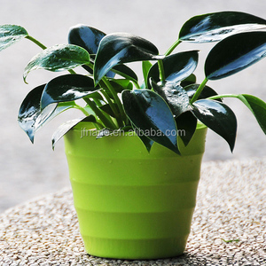 กระถางดอกไม้พลาสติกสีสันสดใส,อุปกรณ์สำหรับสวน - Product Image 2
