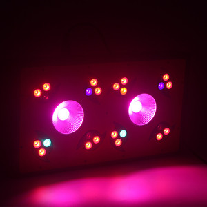 Cob espectro completo crece bloom 300 vatios c ree led grow light 2015 - Product Image 1