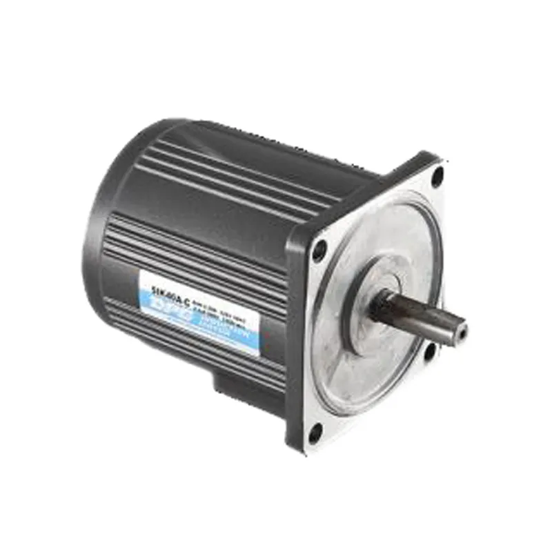 110V 220v 40W single phase ac induction electric geared motor