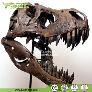 Cráneo de Dinosaurio T-REX a Escala 1:1 para Museo - Product Image 4