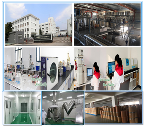 Han Guo 80% Mogrosides <span class=keywords><strong>25%</strong></span> <span class=keywords><strong>Mogroside</strong></span> <span class=keywords><strong>V</strong></span> Monk Sweetener фруктовый порошок экстракт продукты для ухода за здоровьем натуральное молоко белый бесплатно HD Food - Product Image 6