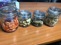 Nieuwe Generatie 0.6m2 (Vierkante) Toepassing Thuis Fruit Vacuüm Vriesdroger Lyophilizer