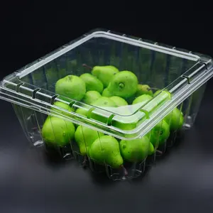 Caixa de plástico descartável transparente, recipiente para frutas, embalagem para animais de estimação para frutas com furo do ar