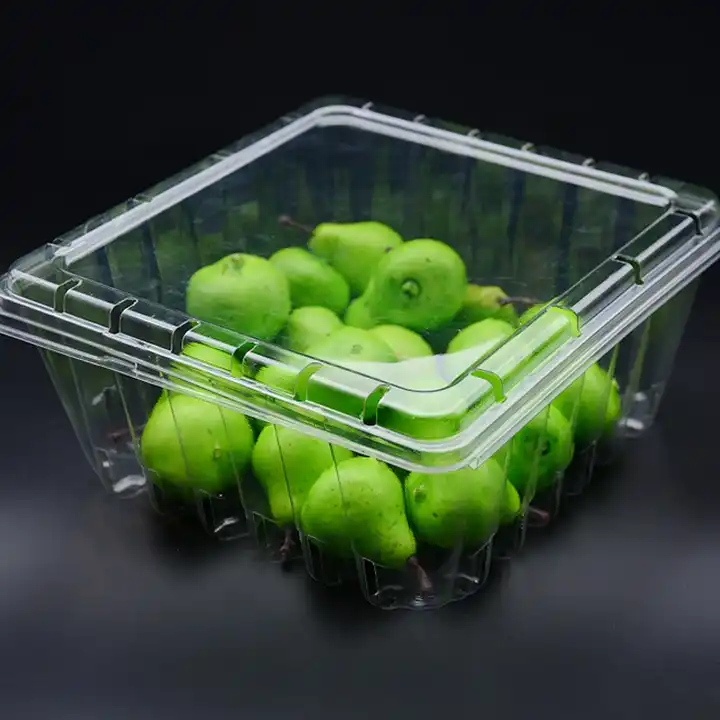 Disposable Clamshell Containers Wholesale