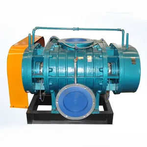 Biogas Roots Blower For Electric Power Plant