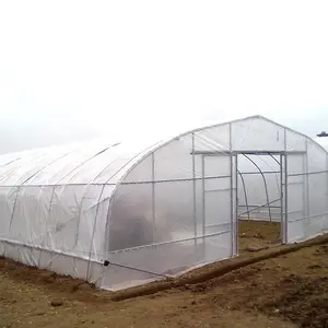 Skyplant nuevo diseño 8m x 30m, solo túnel de plástico PE gran túnel invernadero para la Agricultura/hortalizas/