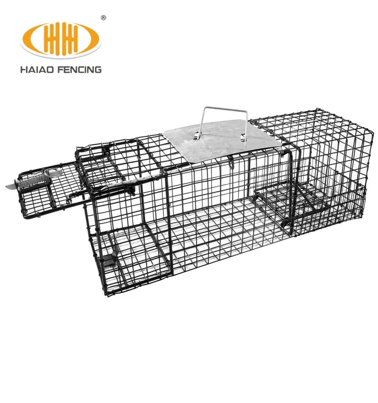 Hot Nhất Bán Không Có Giết Mouse Trap Sống Bắt