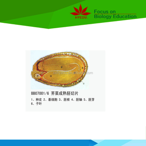 Directo de fábrica de la enseñanza y <span class=keywords><strong>el</strong></span> aprendizaje de 100 piezas botánica diapositivas preparadas - Product Image 5