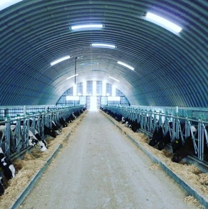 Edificio Prefabbricato in Acciaio RT Brand dal Design Moderno per Allevamento Suini/Magazzino per Stalle di Suini da Latte con Garanzia di 3 Anni - Product Image 5