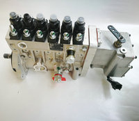 Bomba de Inyección de Combustible 4941012 para Motor Diésel Dcec 6CTA8.3-GM155