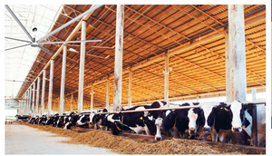 10ft 16ft 20ft 24ft औद्योगिक ठोस बड़े ठंडा स्थायी चुंबक छत प्रशंसक चीन आपूर्तिकर्ता - Product Image 6