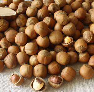 Noix de noisettes séchées en vrac, de haute qualité, biologique avec coquilles, noix de noisettes pour collation - Product Image 2