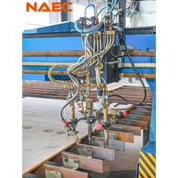 Machine de découpe de plaque de flamme/plasma CNC de haute précision | Coupeur de plaque de métal automatique fiable pour les tâches industrielles lourdes