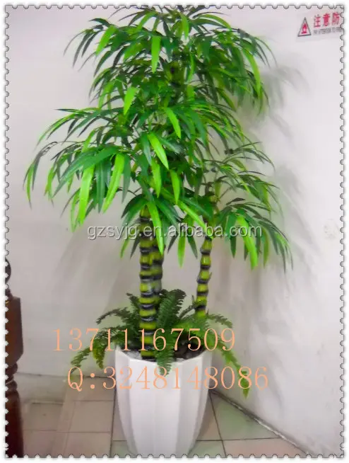 Shengyuan 2015 hot vente artifcial bambou / faux lucky bamboo / artificielle Dracaena sanderiana bonsai pour maison décorative