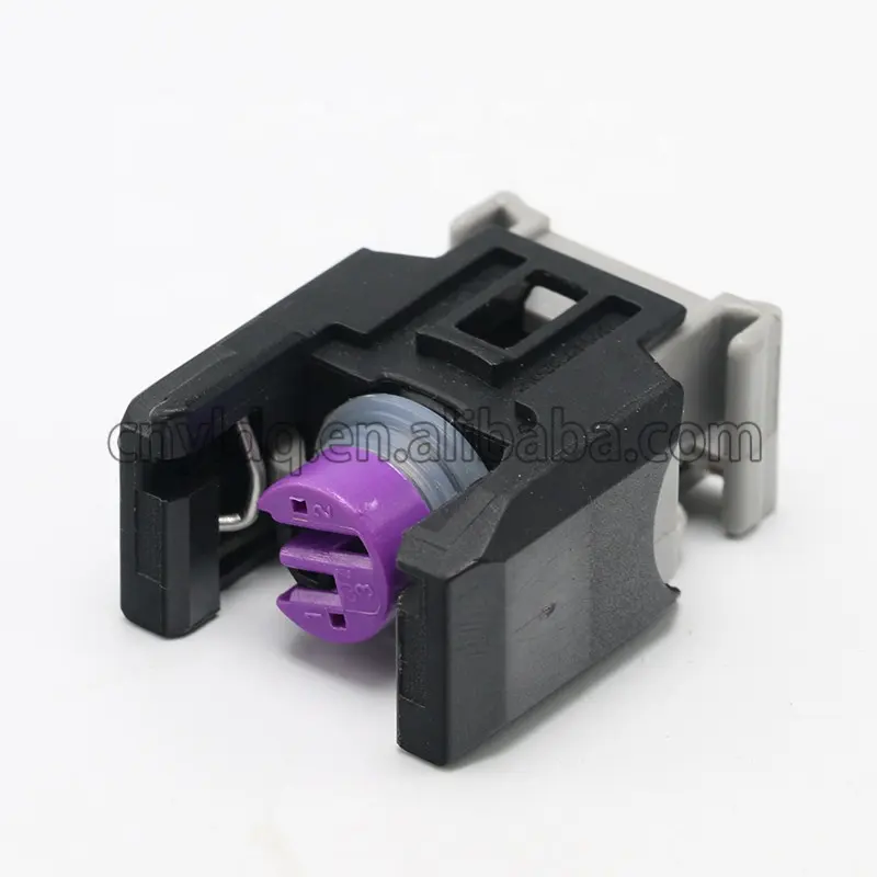 2-Pins Vrouwelijke Waterdichte Auto Elektrische Connector Voor Delphi Fci 43846706 Common Rail Diesel Brandstofinjector 13816706