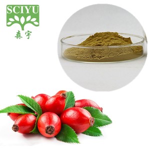 Kuşburnu Ekstresi Tozu Kuşburnu Ekstresi 20:1 10:1 Suda Çözünür - Product Image 3