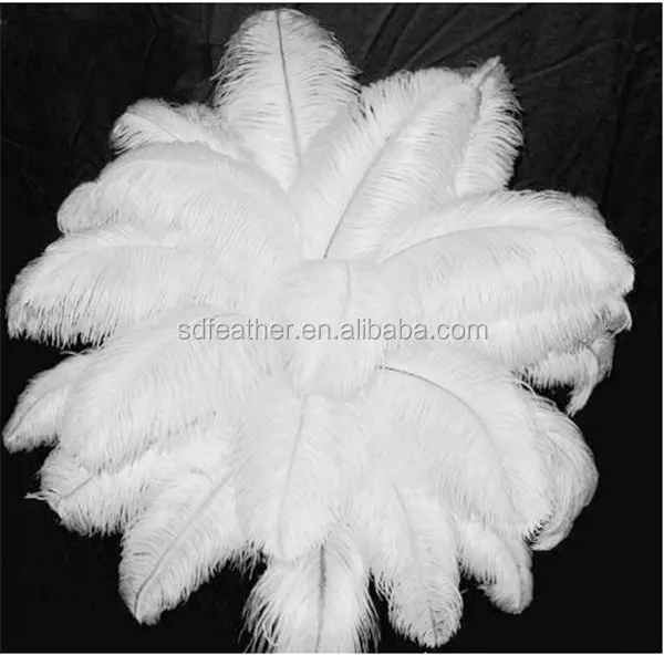 Grosir Fashion Tinggi 70-75 Cm Putih Massal Panjang Kualitas Pertama Burung Unta Bulu Bulu untuk Karnaval Dekorasi Pesta