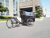 Tricycle cargo / vélo à 3 roues, nouveau modèle, 6 vitesses, 26 pouces, UB 9027, en promotion