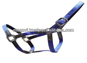 Halter de caballo de nailon personalizado más vendido en Material de PP de estilo occidental con accesorio de hardware de hierro mejor Halter de cuerda - Product Image 6