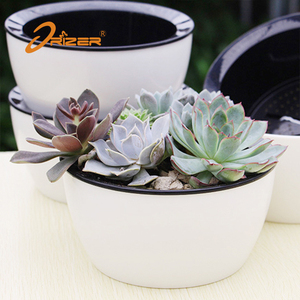 Alibaba chine usine prix maison & jardin arrosage auto succulent en plastique pot de fleur planteur - Product Image 3