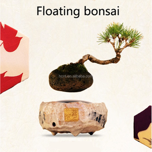 Vietnam macetas de bonsai bonsai <span class=keywords><strong>estante</strong></span> plástico volar en el aire - Product Image 5