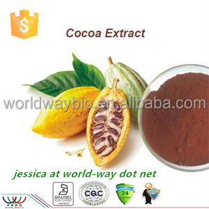 <span class=keywords><strong>Polvo</strong></span> de semilla de coco, teobromina 20%, fabricante de China, muestra gratis - Product Image 3