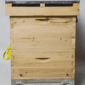 2020 Wood 8 10 12 frames bulk langstroth beehive