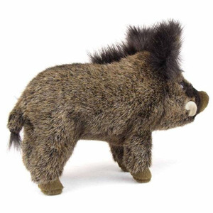 <span class=keywords><strong>Animal</strong></span> de peluche de jabalí salvaje de fibra de carbón ecológico, con diente largo