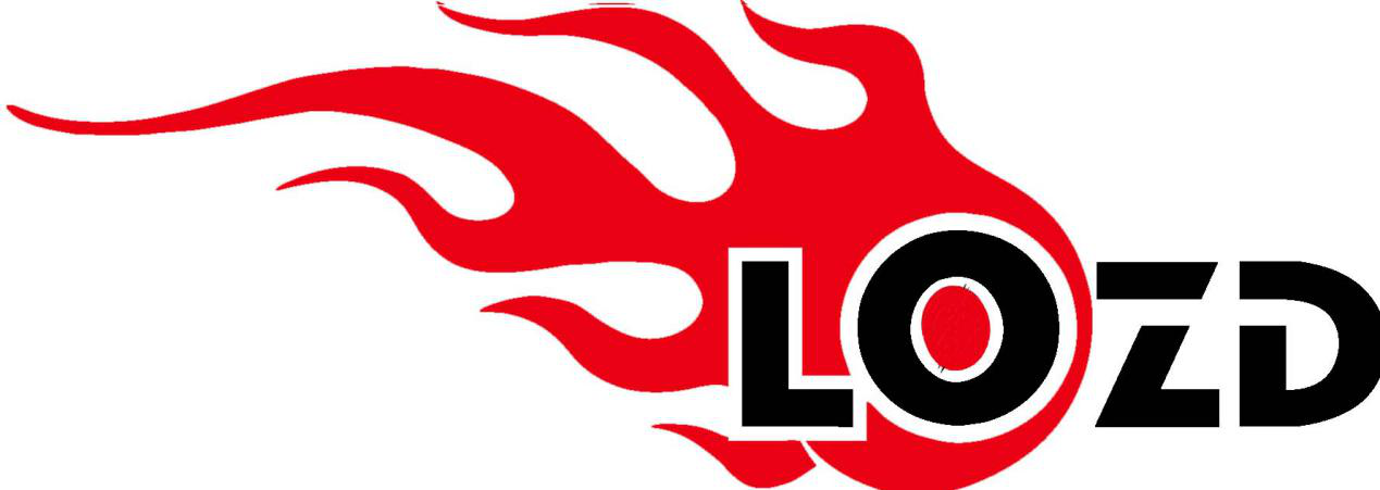 Shenzhen Luozhen Electronics Technology Co., Ltd. logo