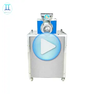 factory price manufacture pasta machine / macaroni pasta machine for sale