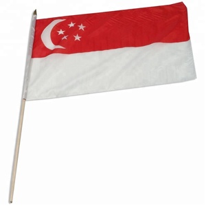 Drapeau ondulant à la main de Singapour avec bâton <span class=keywords><strong>en</strong></span> plastique 3x5ft Polyester Satin Nylon Vinyl Silk Rainbow Pennant pour agences de voyages - Product Image 2