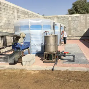 China biogas power plant digester for sale