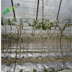 <span class=keywords><strong>Film</strong></span> de couverture <span class=keywords><strong>plastique</strong></span> clair UVA <span class=keywords><strong>pour</strong></span> serre, en polytunnel, matériau de couverture 200 microns, 3/4 ans, à vendre - Product Image 6