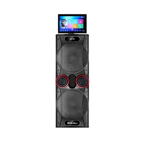 12 Inch Trolley Luidspreker Met Scherm Karaoke Speaker Met Touch Screen Toren Speaker