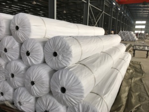 Gebreide Polyester <span class=keywords><strong>Geogrid</strong></span> Composiet Geweven Geotextiel Voor Road Bestrating Materiaal - Product Image 3