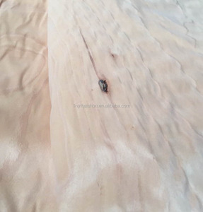 Sồi tự nhiên Gỗ Mặt Veneer cho Trang Trí - Product Image 4