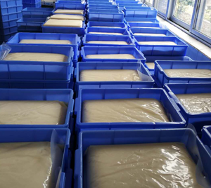 Macchina Votatrice per Olio di Palma Vegetale, Grassi Vegetali e Margarina - Product Image 4