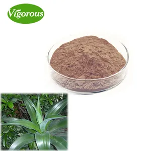 Pure Natural Agave Americana Leaf Plant Extract