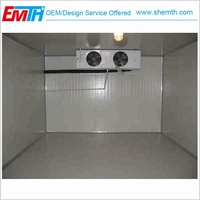 Emth Aangepaste Temperatuur 20ft Walk In Vriezer Koude Opslag Paneelruimte Voor Fruit En Groente
