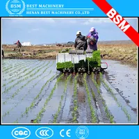 2017 vendita calda paddy rice uso trapianto di piantine