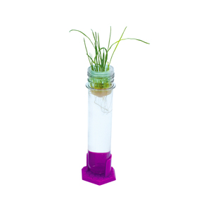 Juguete de Laboratorio de Ciencias para Cultivo de Plantas y <span class=keywords><strong>Serie</strong></span> Educativa de Equipos de Ciencias Químicas para Experimentos - Product Image 2